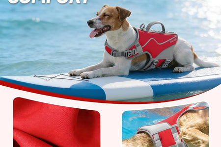 New Neoprene Sports Style Dog Life Jackets, Snug & Safer Dog Life Vest with Superior Buoyancy & Rescue Handle