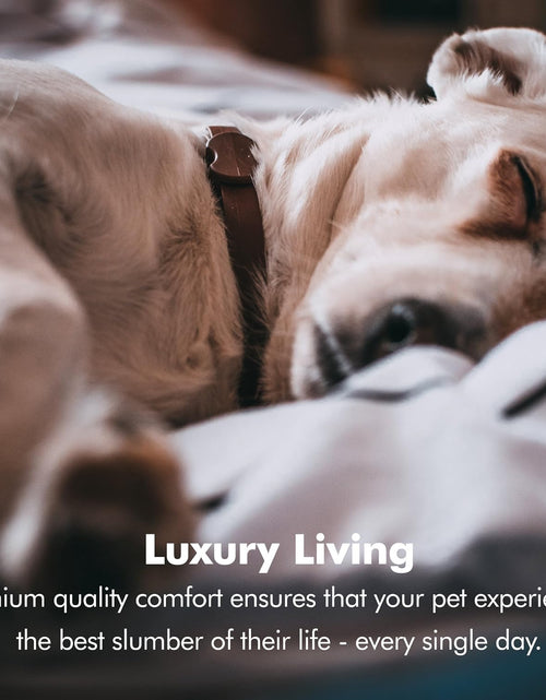 Load image into Gallery viewer, Orthopedic Dog Bed Lounge Sofa Removable Cover 100% Suede Mattress Memory-Foam with Bolster Rim Premium Prestige Edition
