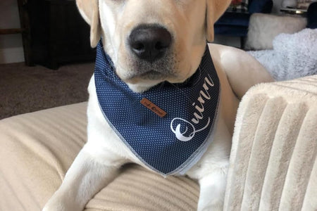 Dog Bandana for Small Medium Large Dogs, Cat Dog Kerchief Dog Triangle Bibs Scarf for Girl or Boy