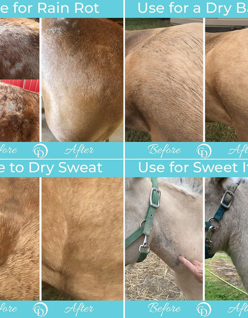 Load image into Gallery viewer, Daily Preventative Powder for Horses - Safe &amp; Effective Equine Skin Conditioner Sweet Itch, Skin Funk, &amp; Rain Rot - Dry Horse Shampoo, 64 Oz Formula with All Natural Ingredients
