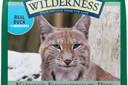 Blue Buffalo Wilderness High Protein Grain Free, Natural Adult Dry Cat Food