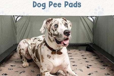 Reusable Dog Pee Pads, Washable Waterproof Mats for Potty Training or Whelping Pads, Puppy Pad with Rounded Corners, 16.5X19.5 Inch, 2 Pack