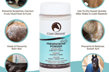 Daily Preventative Powder for Horses - Safe & Effective Equine Skin Conditioner Sweet Itch, Skin Funk, & Rain Rot - Dry Horse Shampoo, 64 Oz Formula with All Natural Ingredients