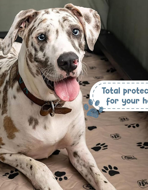 Load image into Gallery viewer, Reusable Dog Pee Pads, Washable Waterproof Mats for Potty Training or Whelping Pads, Puppy Pad with Rounded Corners, 16.5X19.5 Inch, 2 Pack
